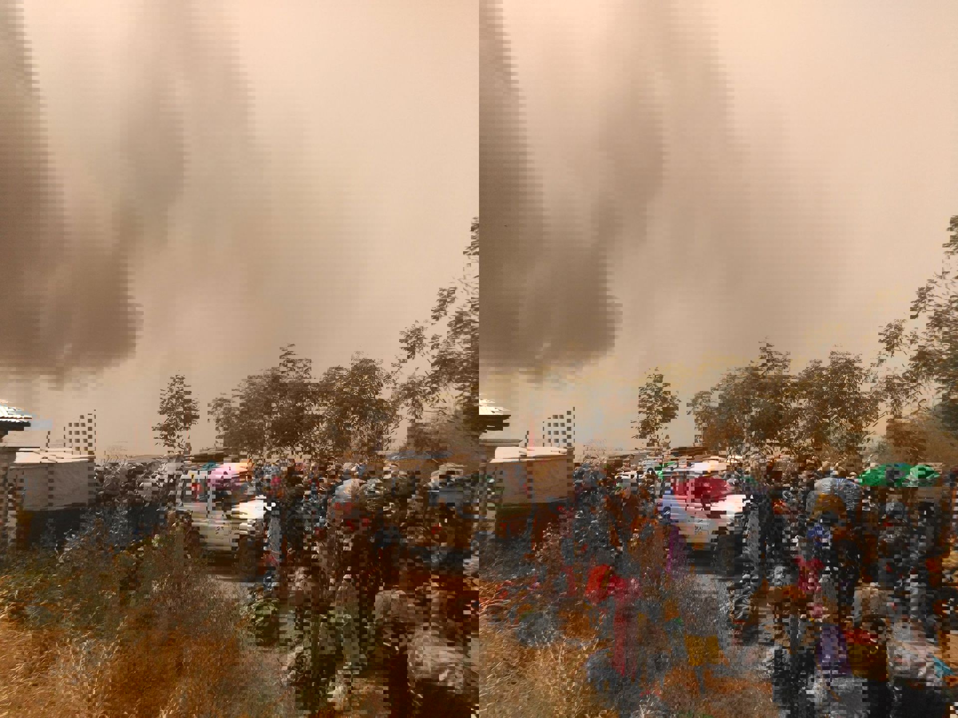 MSF161767 (High Res) 2000