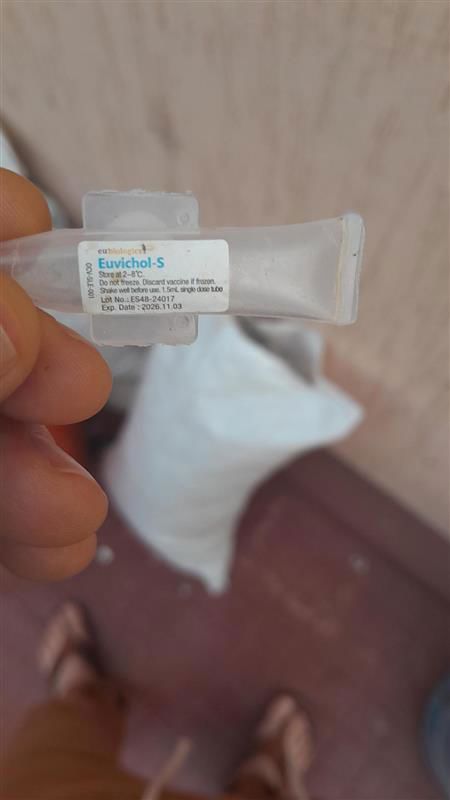 無國界醫生向南蘇丹民眾提供接種的單劑口服霍亂疫苗（OCV）。