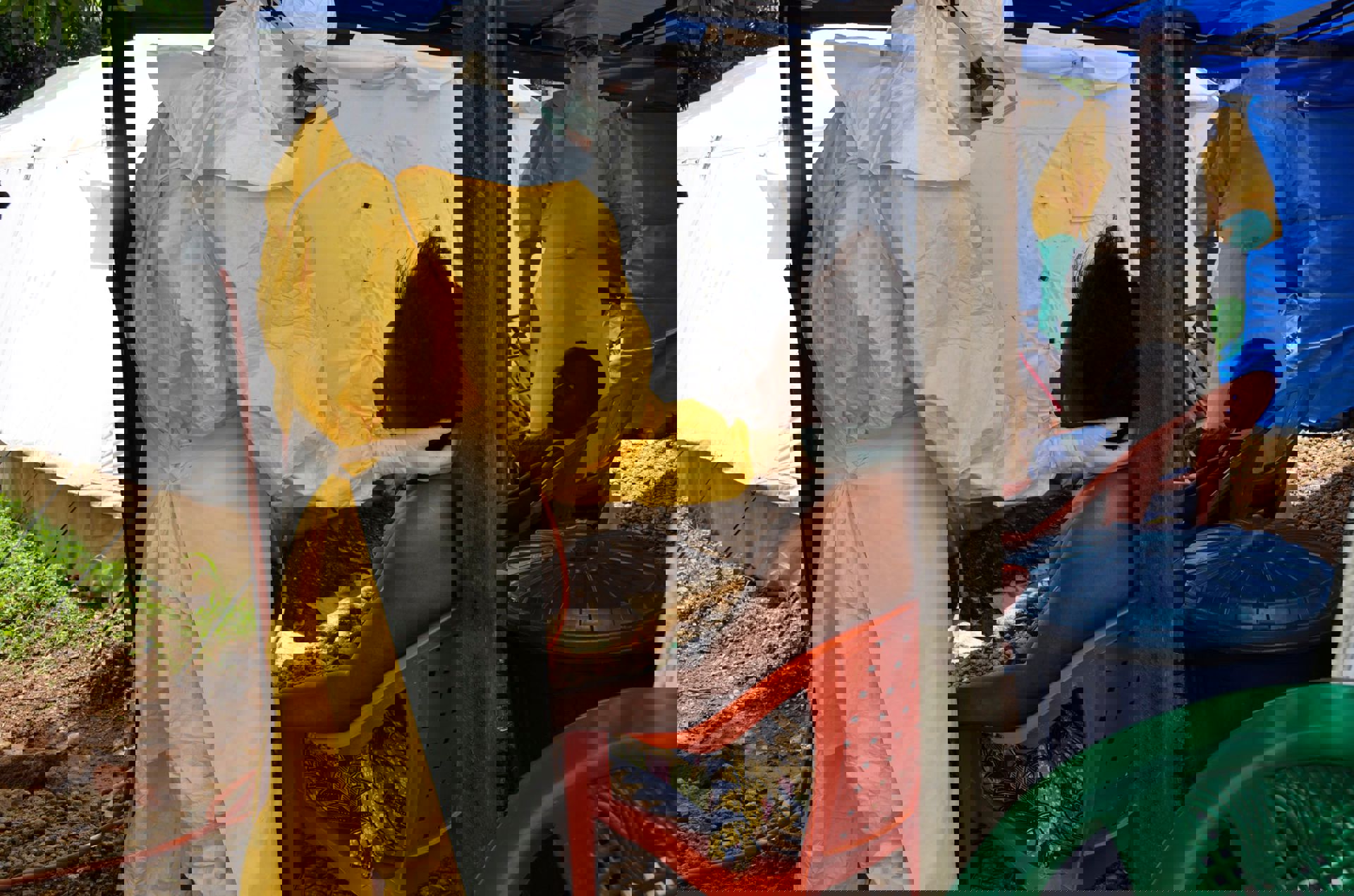 Msf141574s 2