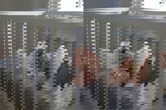 2011 0830 Haiti