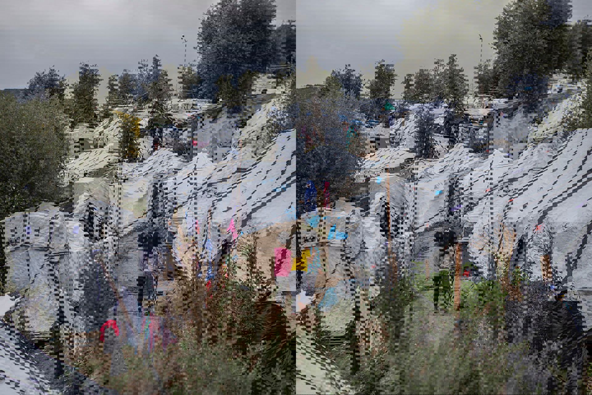 MSF288900 Medium 0