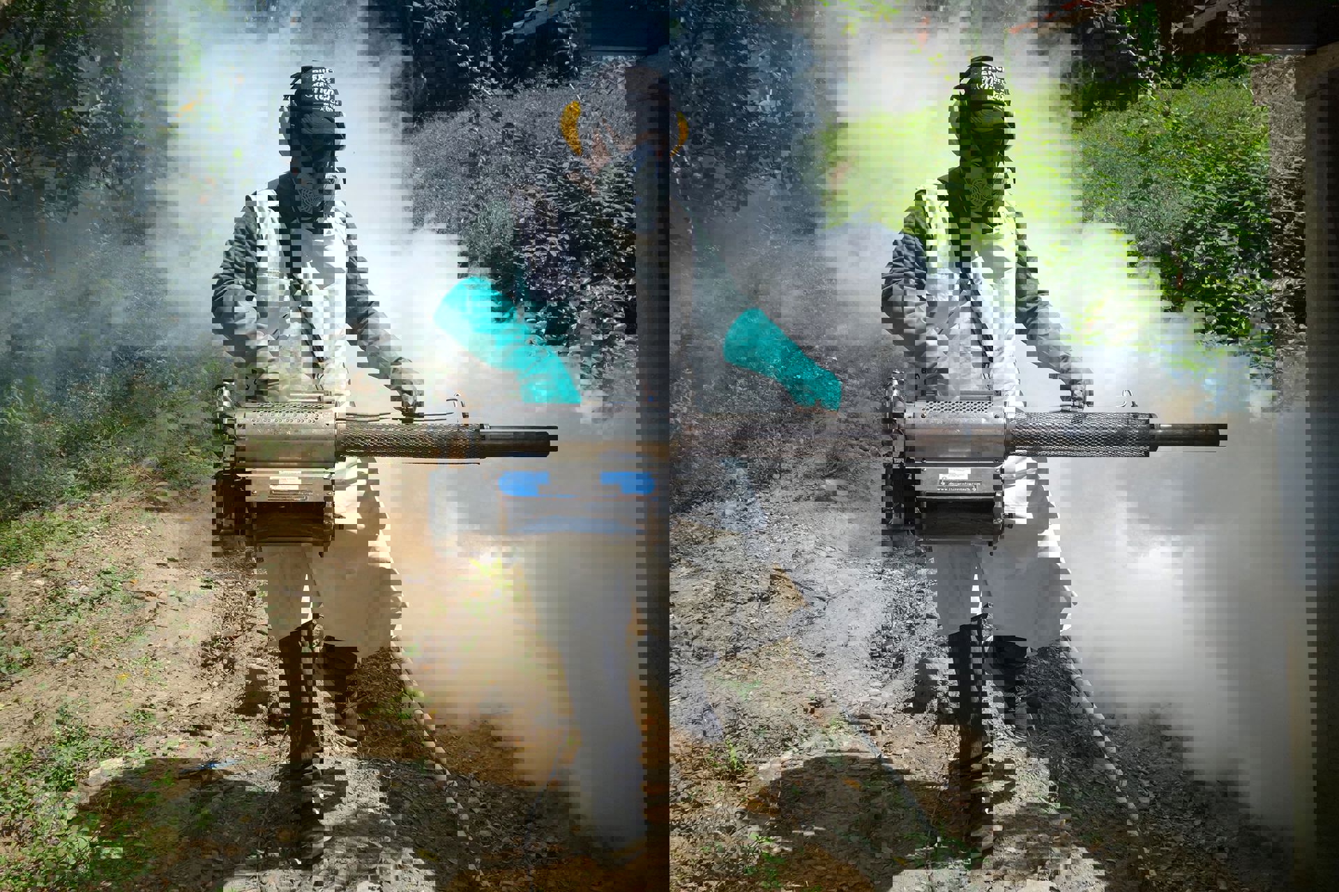 MSF262390(High) 2000