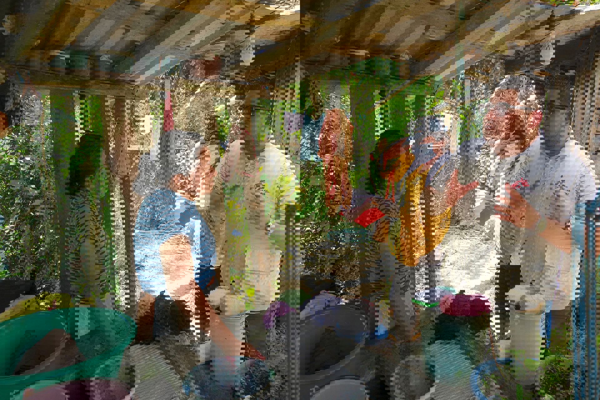 MSF262397(High) 2000