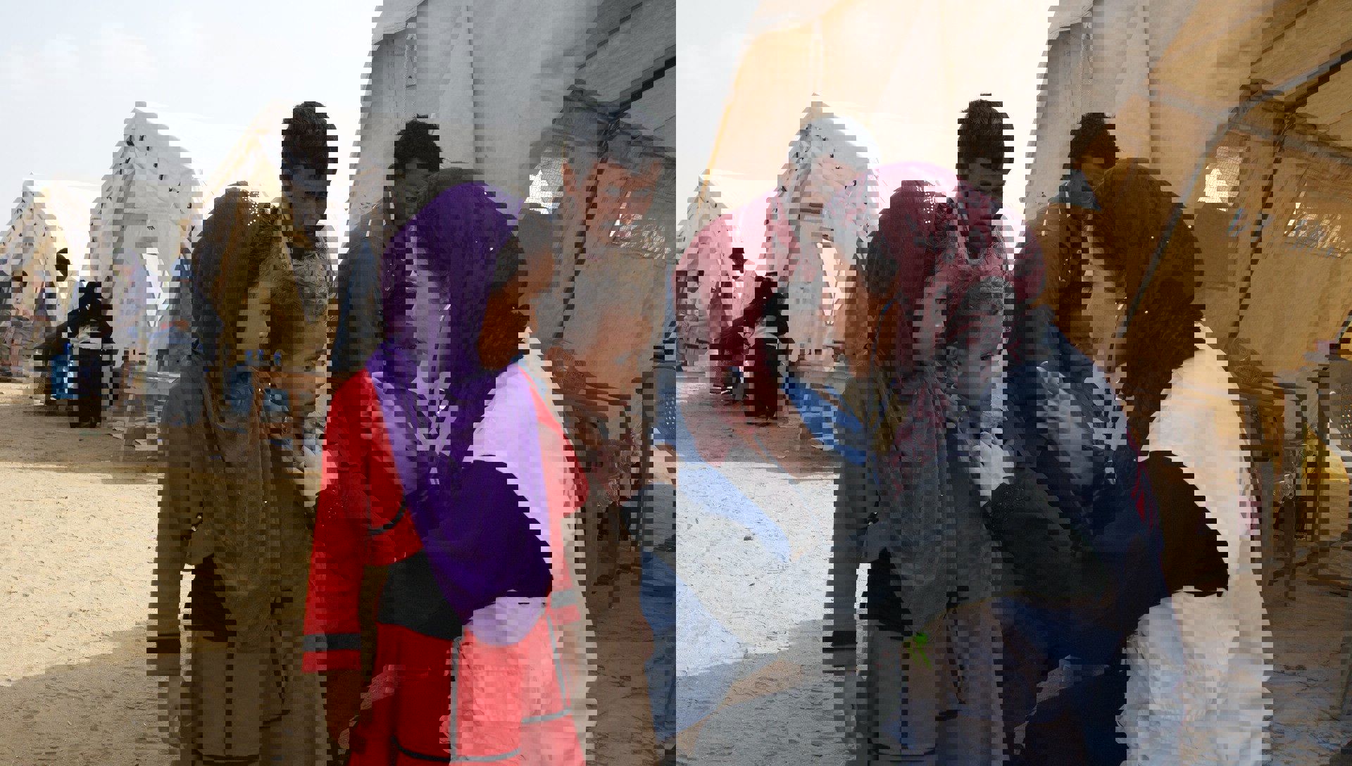 MSF200556(High)