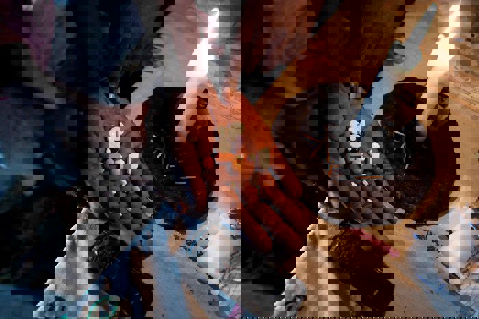 2011 0909 Sw 1