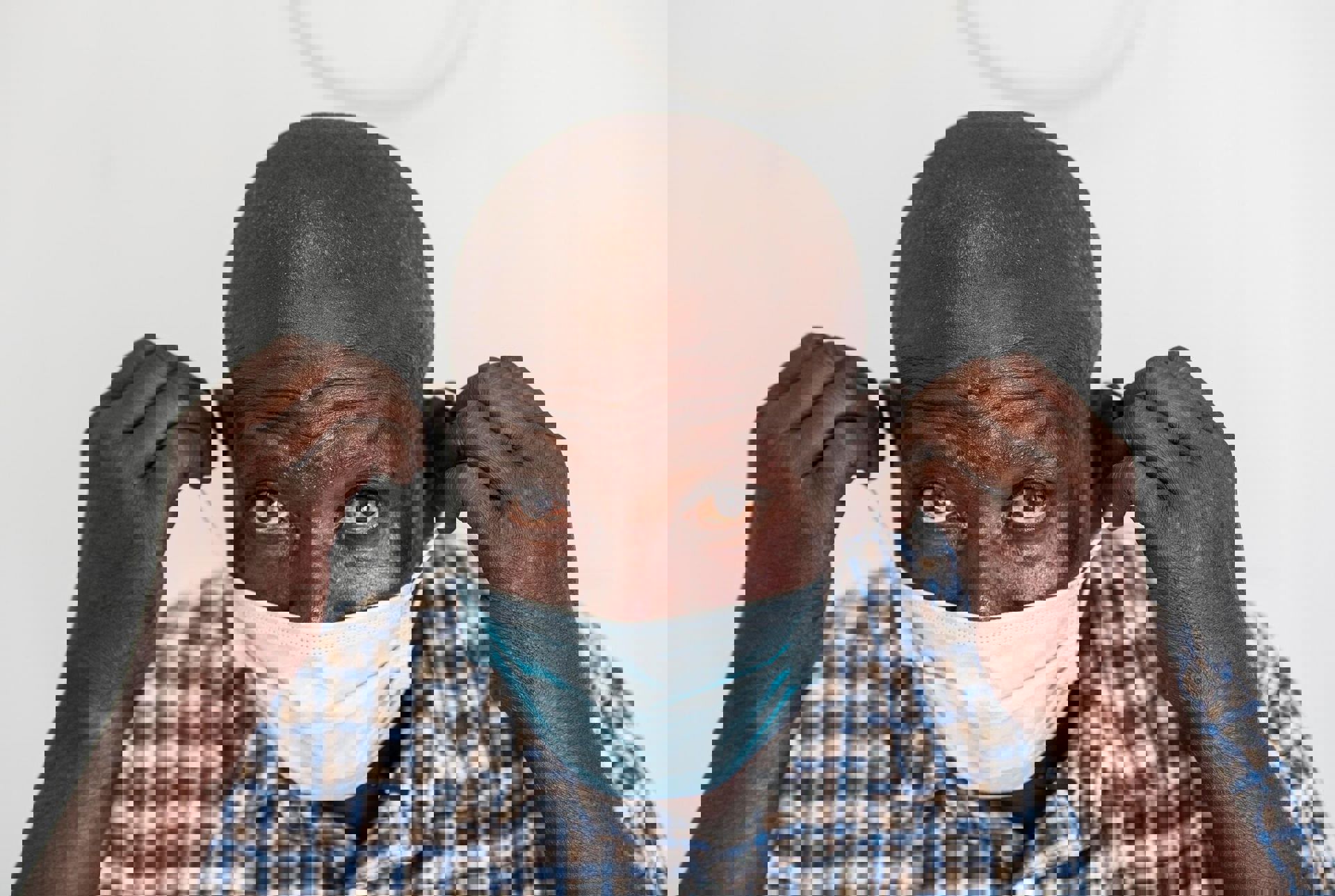 MSF257880 2000