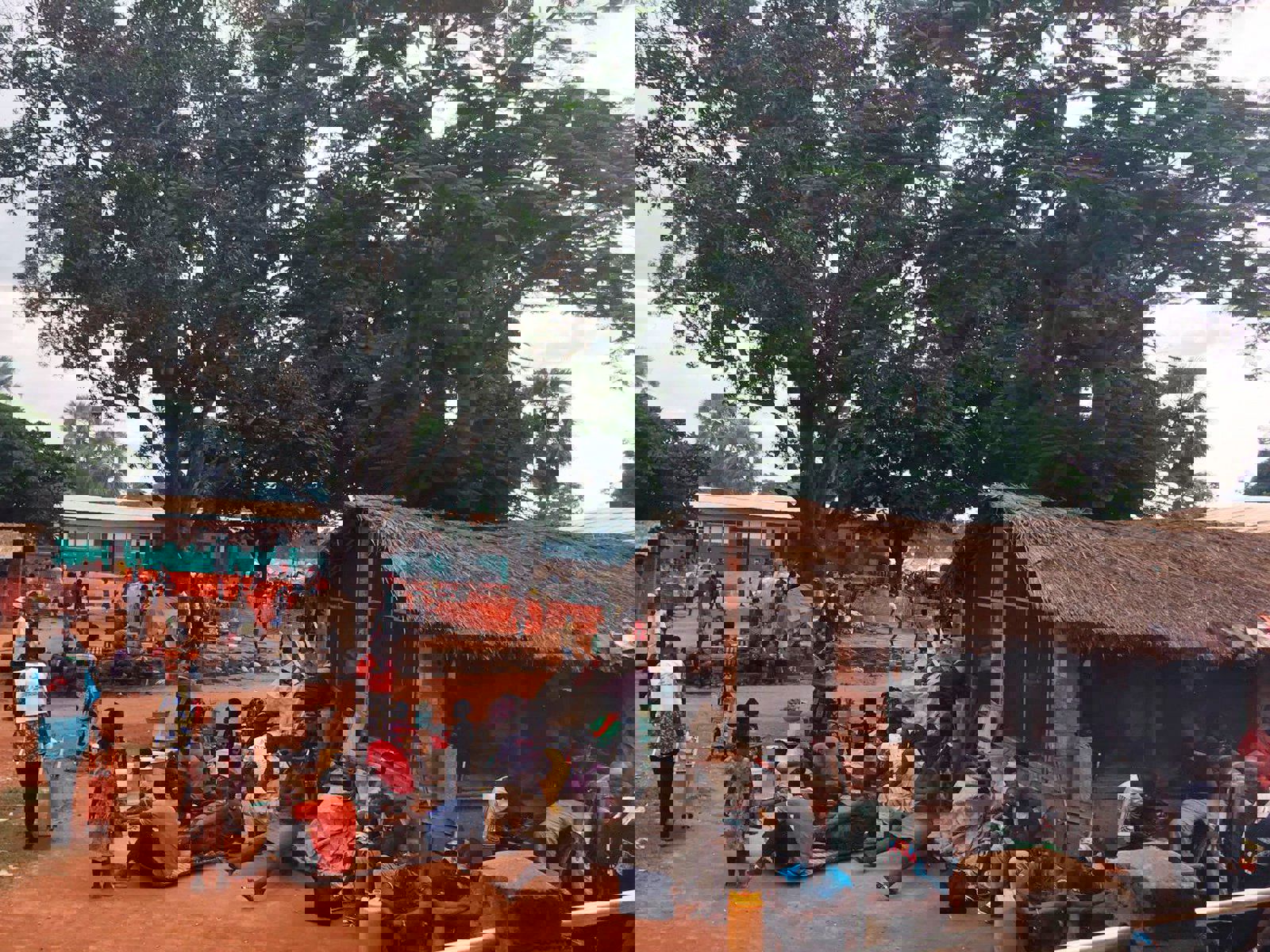 MSF204790(High)